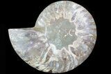 Agatized Ammonite Fossil (Half) - Madagascar #83790-1